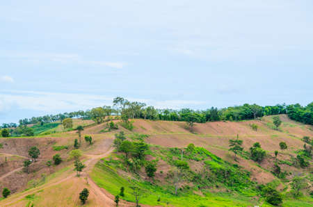 Summer landscape in the hills