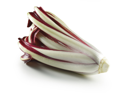 Single Late Red Treviso radicchio on white planeの写真素材