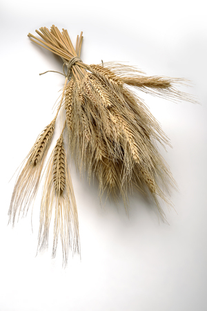 Bunch of ripe ears of rye on white tableの写真素材