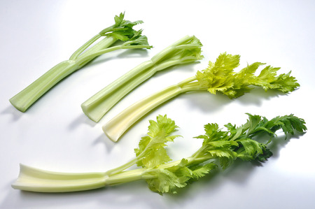 Fresh Celery stalck isolated on white planeの写真素材