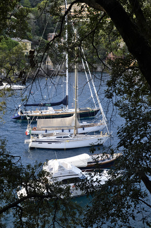 Portofino, Italy - October 11, 2016: Tourist boats moored in the harbor in autumnのeditorial素材