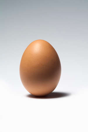 Perfect Single egg standing on a white background