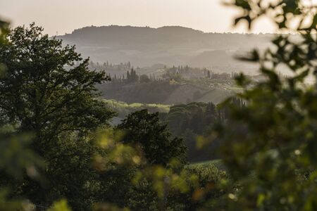Warm Sunset over the hills of Siena in Tuscanyの写真素材