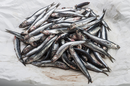 Pile of fresh whole anchovies in opened paper wrapの写真素材