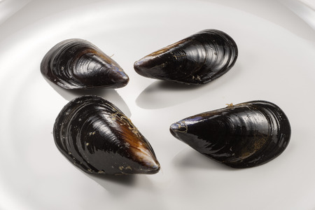 Plate with four fresh mussels closed naturally