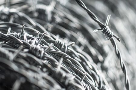 Barbed wire spirals with selective focus for blur effectsの写真素材