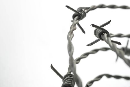 Barbed wire spirals with selective focus for blur effectsの写真素材
