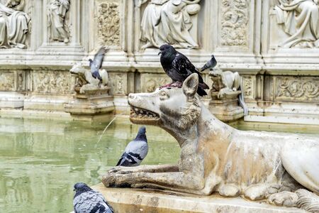 Siena Detail source Gaia in Campo squareの写真素材