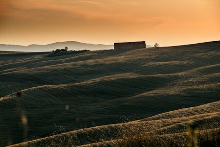 Landscape of the soft Siena hills in the warm light of the sunsetの写真素材