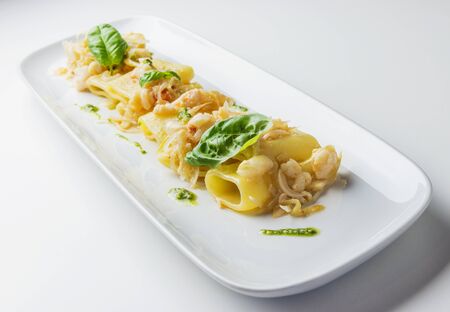 Plate with Paccheri pasta with lobster onions and basil isolated on whiteの写真素材