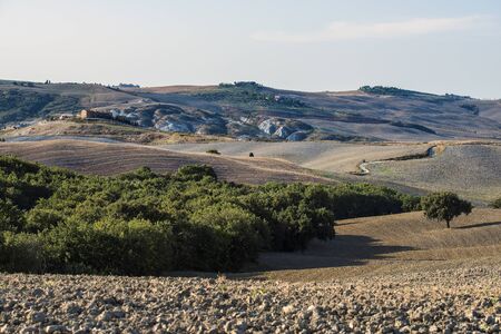 Panorama of the Sienese hills with fields cultivated fields in late summer