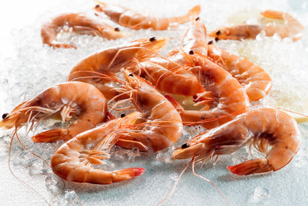 Pile of fresh Argentinian prawns on crushed iceの写真素材