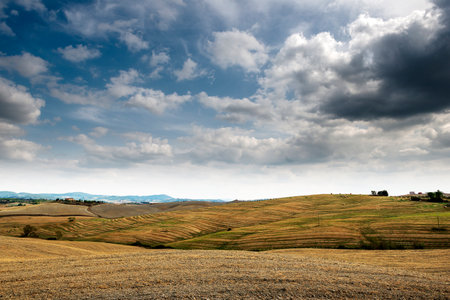 Tuscan landscape of the Sienese hills Wheat fields after the harvestの写真素材