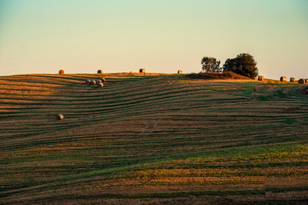 Tuscan landscape of the Sienese hills Straw bales at sunset in a cut wheat fieldの写真素材