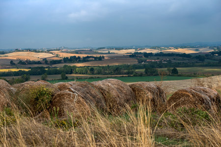 Tuscan landscape of the Sienese hills Autumn agricultural phases after the harvest with straw balesの写真素材