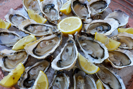 Detail of Tray of open oysters with lemon slicesの写真素材