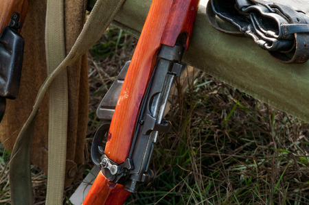 Military rifles of World War II in the forest