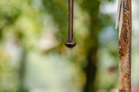 Hanging iron washstand on a rope in the campの写真素材