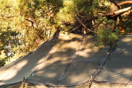 Green tent with tent camping, camping in the woodsの写真素材