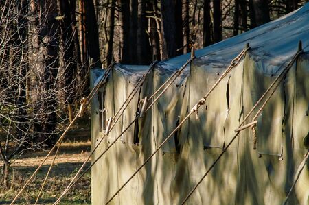 Green tent with tent camping, camping in the woodsの写真素材