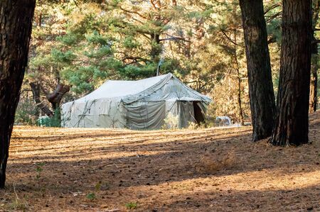 Green tent with tent camping, camping in the woodsの写真素材