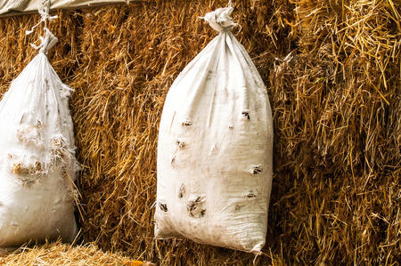 a hanging bag and straw for the shooting range and shootingの写真素材