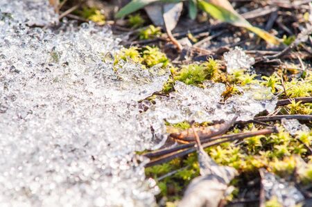 moss and ice on the river in the springの写真素材