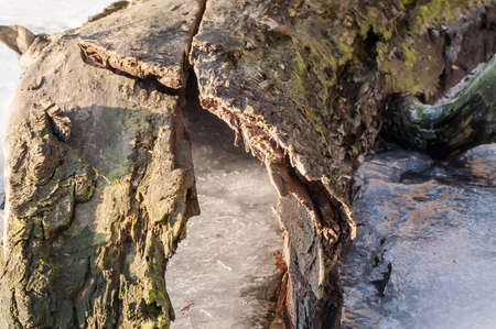 river, winter, snow on a foggy dayの写真素材