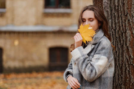 Young smiling girl in a gray coat holds a yellow leaf in her handsの写真素材
