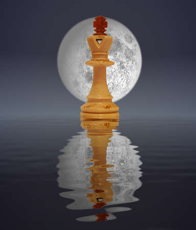 White king reflected in moon lightの写真素材