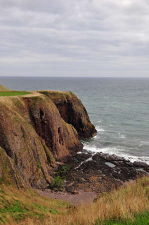 A Coastal cliff, home to a variety of seabirds