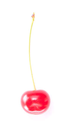 One colorful red cherry isolated on white background.の写真素材
