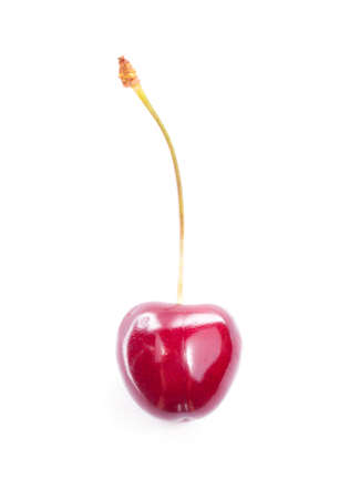 One colorful red cherry isolated on white background.の写真素材