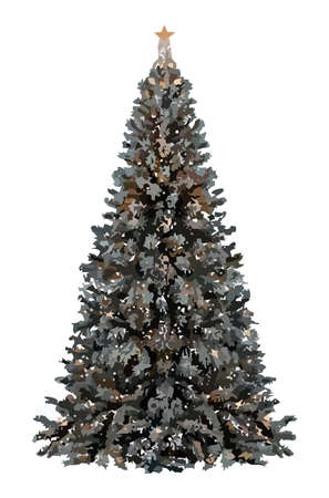 Single fir-tree nicely isolated on white background.のイラスト素材