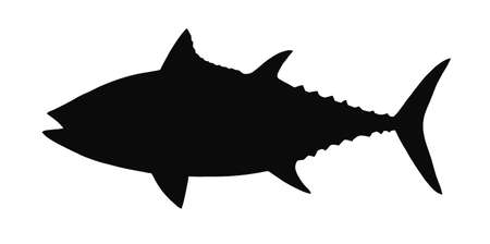 HQ  silhouette of tuna isolated on white のイラスト素材
