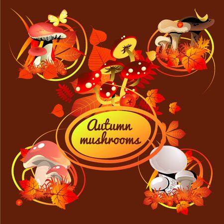 Autumn card, colorful bouquet of leaves and mushroomsのイラスト素材