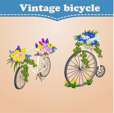 Vintage bicycle card with spring and summer flowersのイラスト素材