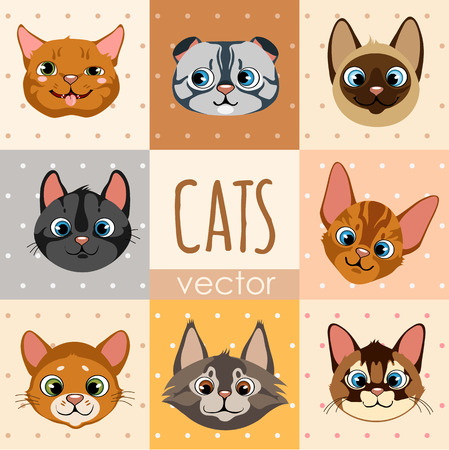 A set of eight colorful cartoon cat faces, different charactersのイラスト素材