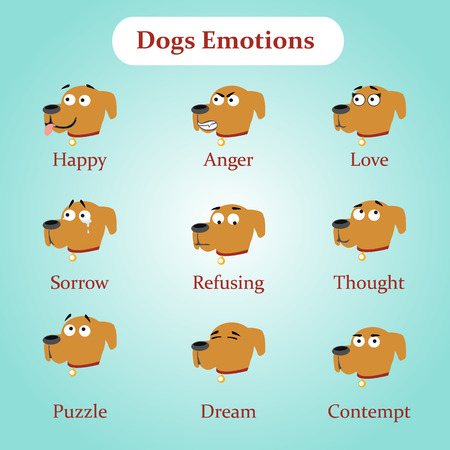Dog emotions: happy, anger, love, sorrow, refusing, thought, puzzle, dream, contemptのイラスト素材