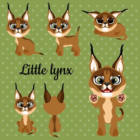 Set of emotions a little lynx on a green backgroundのイラスト素材