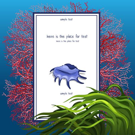 Texture of seashell coral with algue and vertical card for textのイラスト素材