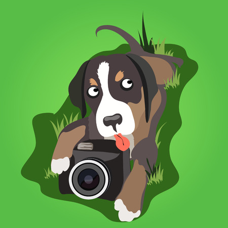 Lop-eared dog lays with a camera on the grassのイラスト素材