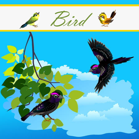 Bird on branch and one bird flying in the skyのイラスト素材