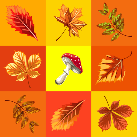 Autumn background set of leaves and mushroomのイラスト素材