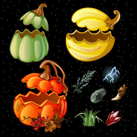 Set of different subjects on the theme of nature and the elementsのイラスト素材