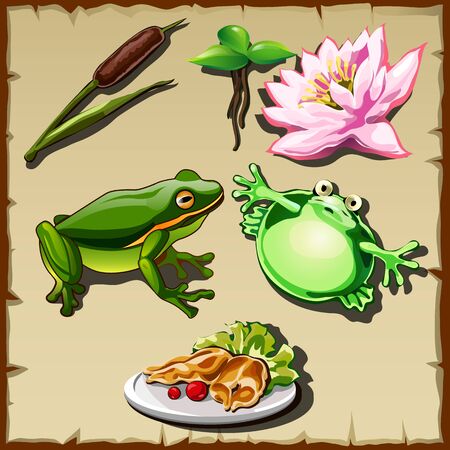 Great frog kingdom, vector set of objects related itのイラスト素材