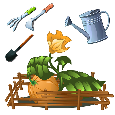 Tools set for the cultivation of horticultural crops, isolated imageのイラスト素材