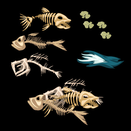 Skeletons fish, track and other items on a black backgroundのイラスト素材