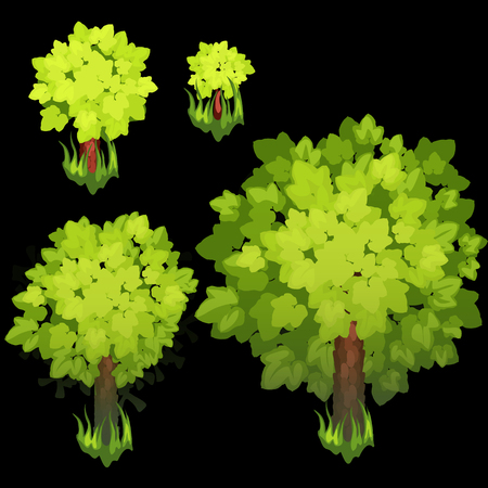Four trees of different sizes on a black backgroundのイラスト素材