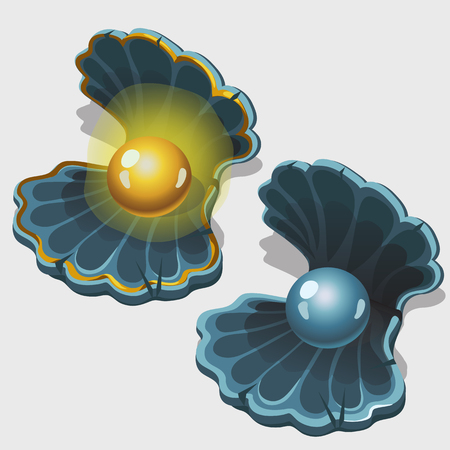 Open gold and silver shell box with pearl, three image isolated vector illustrationのイラスト素材